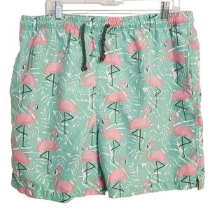 Ingear Swim | Boys' Pink and Green Flamingo Print Swimming Trunks (Size XXL)